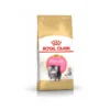 Royal Canin Persian Kitten Food