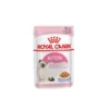 Royal Canin Kitten Jelly – 85 GM